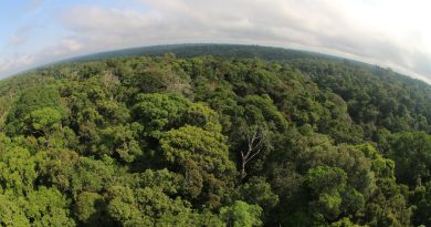 Memórias bioculturais e biodiversidades são destaques em evento cientifico nacional